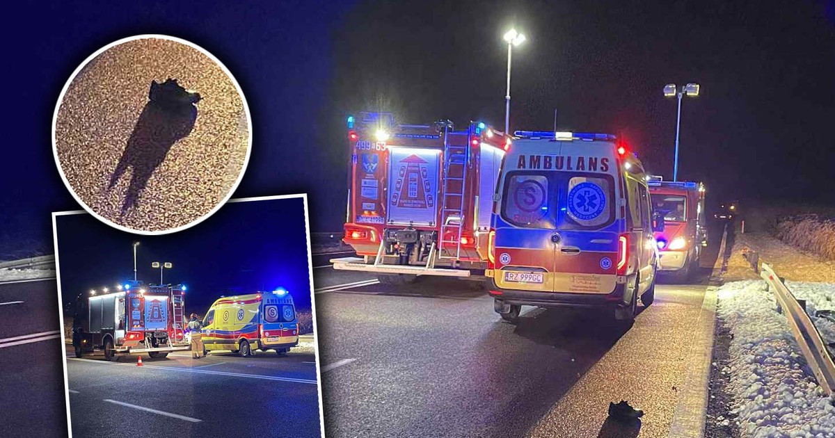 Tragedia pod Łańcutem. Nie żyje 25-latek. Na jezdni został tylko but