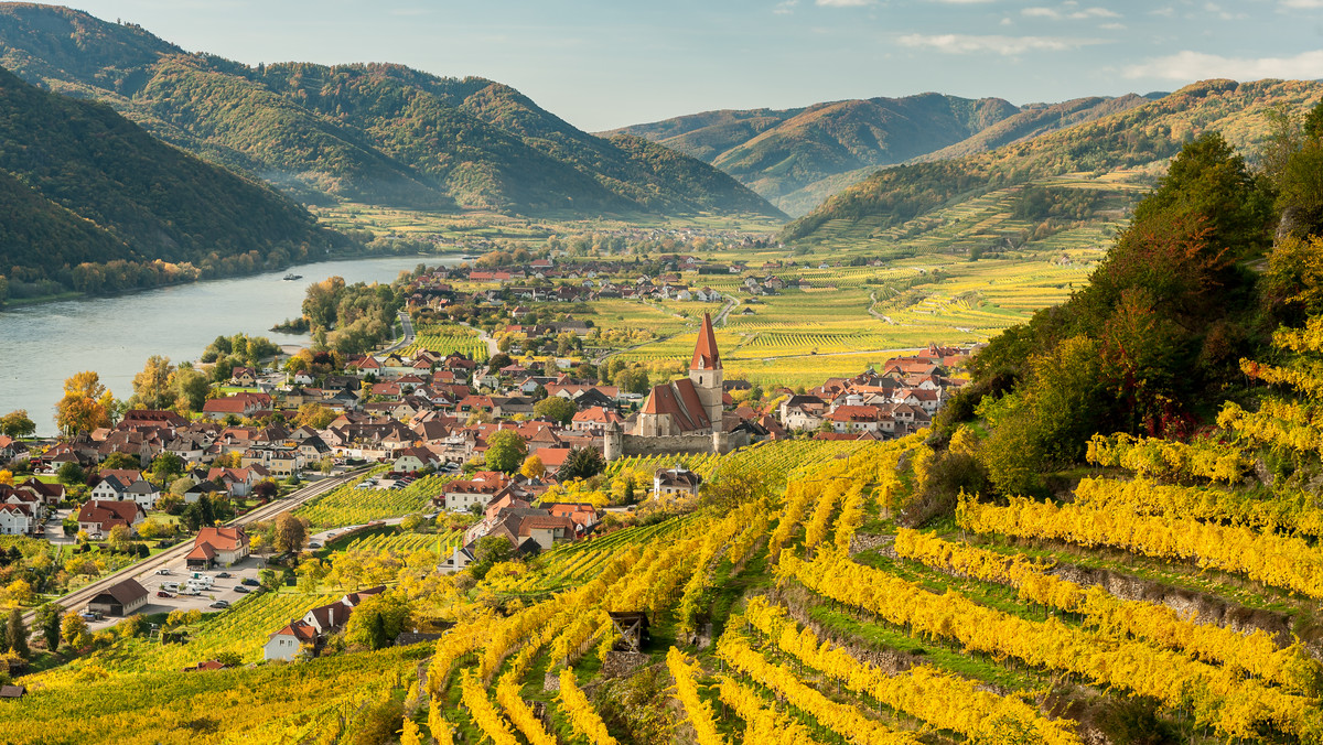 Wachau to dolina Dunaju na zachód od Wiednia o dł. ok. 35 km. Została ona wpisana na listę UNESCO w 2000 r. Słynie z licznych winnic i sadów morelowych oraz zabytkowych miasteczek.