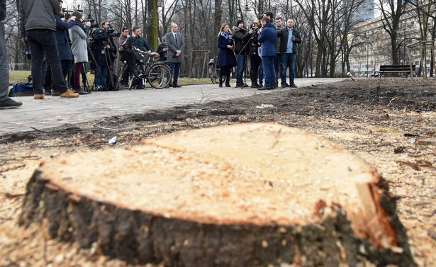 [NEWS] Prawo i Sprawiedliwość na ratunek drzewom. Co zmieni się w "lex Szyszko"?