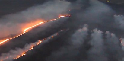 Jeżeli ziści się najczarniejszy scenariusz, dla Biebrzy to będzie katastrofa!