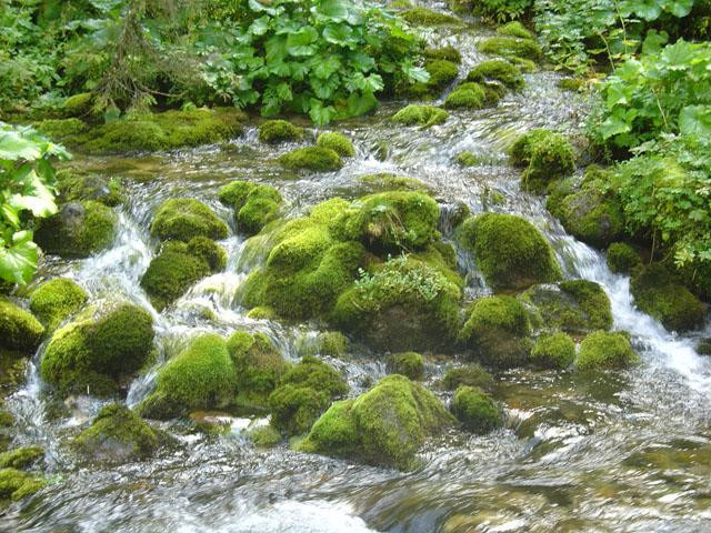 Galeria Tatry - piękno i moc natury, obrazek 25