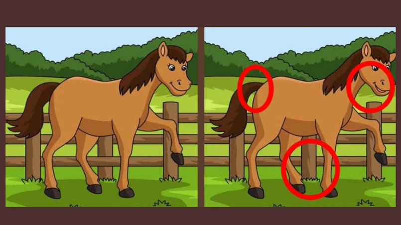 Oto trzy szczegóły, którymi różnią się te obrazki