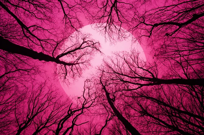 Ružičasti Mesec obasjaće nebo 2. aprila