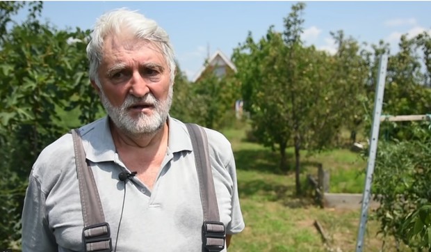 Dragomir iz Banatskog Brestovca dobro zarađuje uzgajanjem špargle 