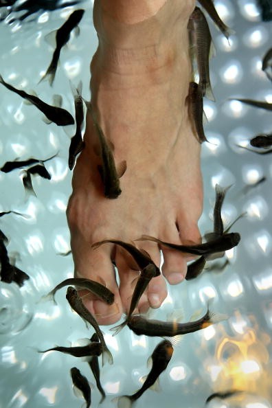 The First Fish Spa Therapy Opens In London