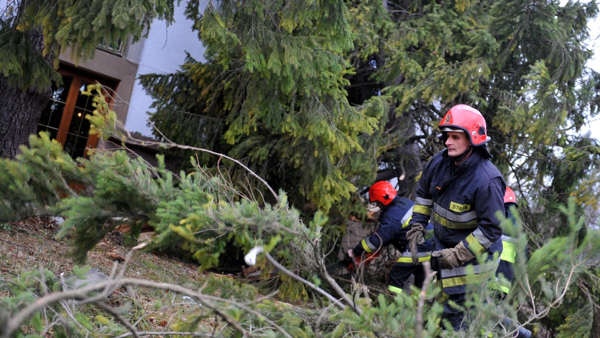 Pracownicy PGE Dystrybucja naprawili uszkodzenia linii energetycznych po weekendowych opadach śniegu. Prąd dociera do wszystkich naszych odbiorców - poinformował rzecznik prasowy rzeszowskiego oddziału firmy Łukasz Boczar.