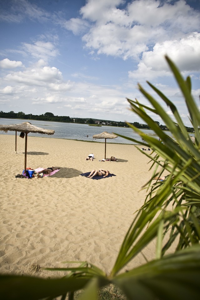 KRAŚNIK PLAŻA POD PALMAMI