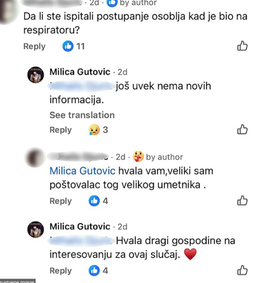 Komentar Milice Gutović