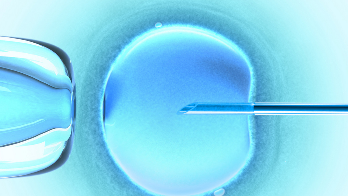 Projekt in vitro rozgrzał zielonogórskich polityków i zrodził spory problem. SLD mają żal, że radni Platformy Obywatelskiej nie poparli projektu, który przedstawiali już rok temu. Ale nie przeszkadza im to w tym, żeby teraz chwalić poczynania zarządu województwa, który da 100 tys. na leczenie niepłodności metodą in vitro. 