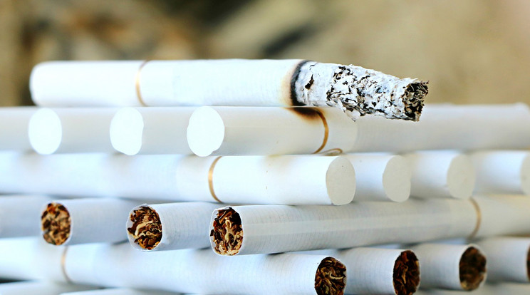 A 23 millió forint értékű, különféle márkájú és fajtájú cigarettát egy ingatlanban találták meg/ Illusztráció: Pixabay 