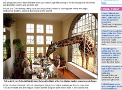 Ta para jada śniadania z żyrafami