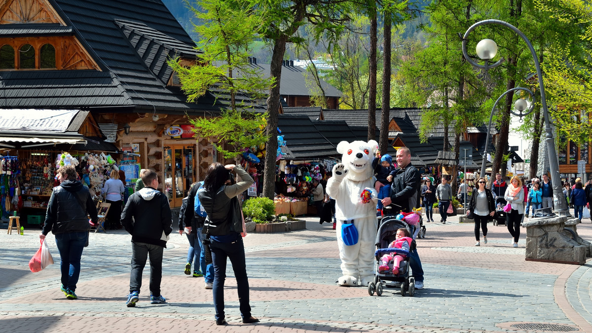 Zakopane. Za zdjęcie z misiem na Krupówkach można sporo zapłacić