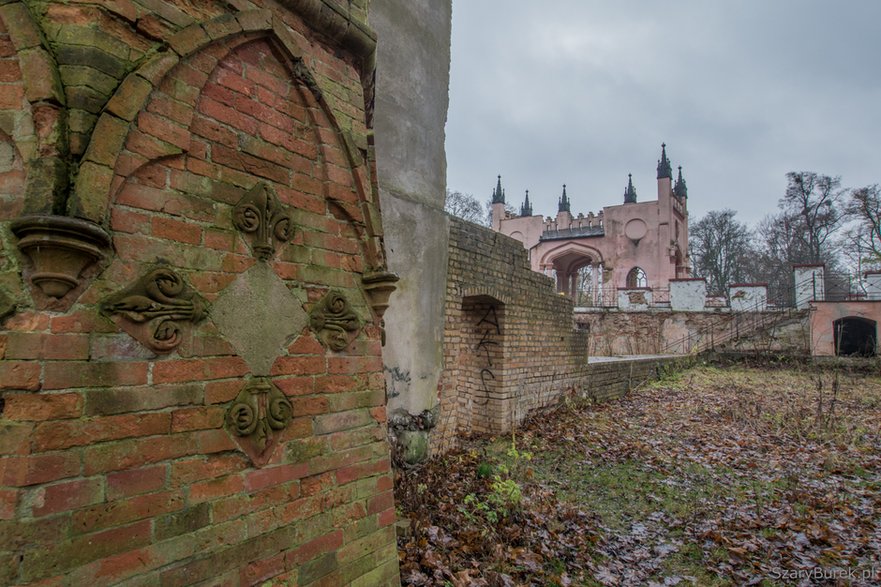 Ruiny pałacu w Dowspudzie