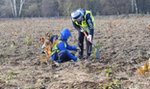 Posadzili las dla Olgi Tokarczuk na nowohuckich Kujawach 