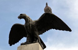 Wybory prezydenckie i ekonomia: „Polska Karola Nawrockiego jest gorzej wykształcona, mało zarabia i wytwarza tylko jedną czwartą PKB”