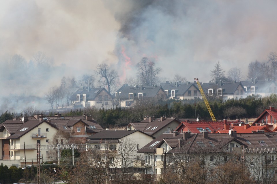 Pożar łąk w krakowskich Bronowicach, Fot. Dawid Hubrich/Daj znać!