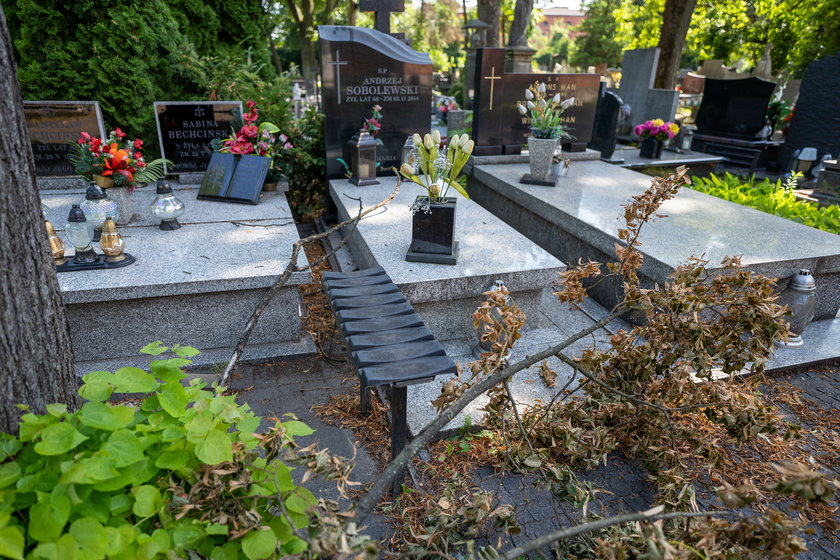 Trwają porządki na Starym Cmentarzu w Łodzi. Do akcji włączyli się pracownicy muzeum