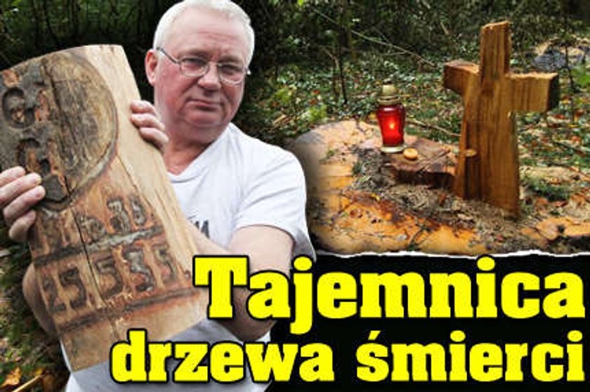 Tajemnica drzewa śmierci