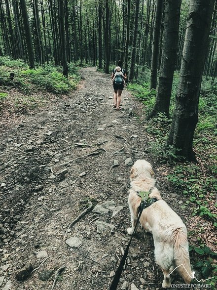 Wracamy dokładnie tą samą trasą