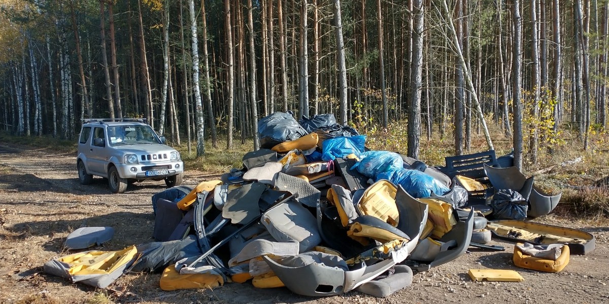 Sterty części samochodowych w lasach pod Opolem. Wśród odpadów były dokumenty. Leśnicy liczą, że uda się dotrzeć dzięki nim do sprawcy, który przywiózł odpady. 