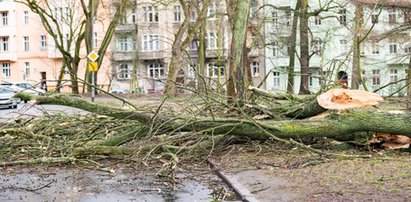 Uwaga na wichury! Zagrożona cała Polska