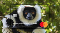 Kto przetrwa dłużej: lemury czy twoja karta? MasterCard pomaga w walce o zagrożone gatunki