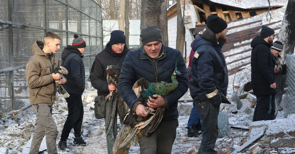 Быстрое завершение войны в Украине? Поляки не питают иллюзий [ОПРОС]
