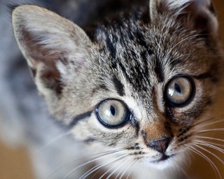 Klimatyczny test amerykańskiego Kongresu abc12345