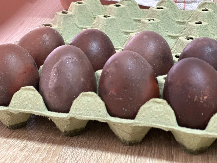 Dušica Nikolić iz Čačka