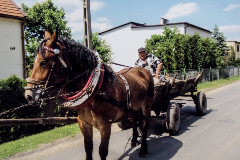 Zmarł ostatni furman na Śląsku