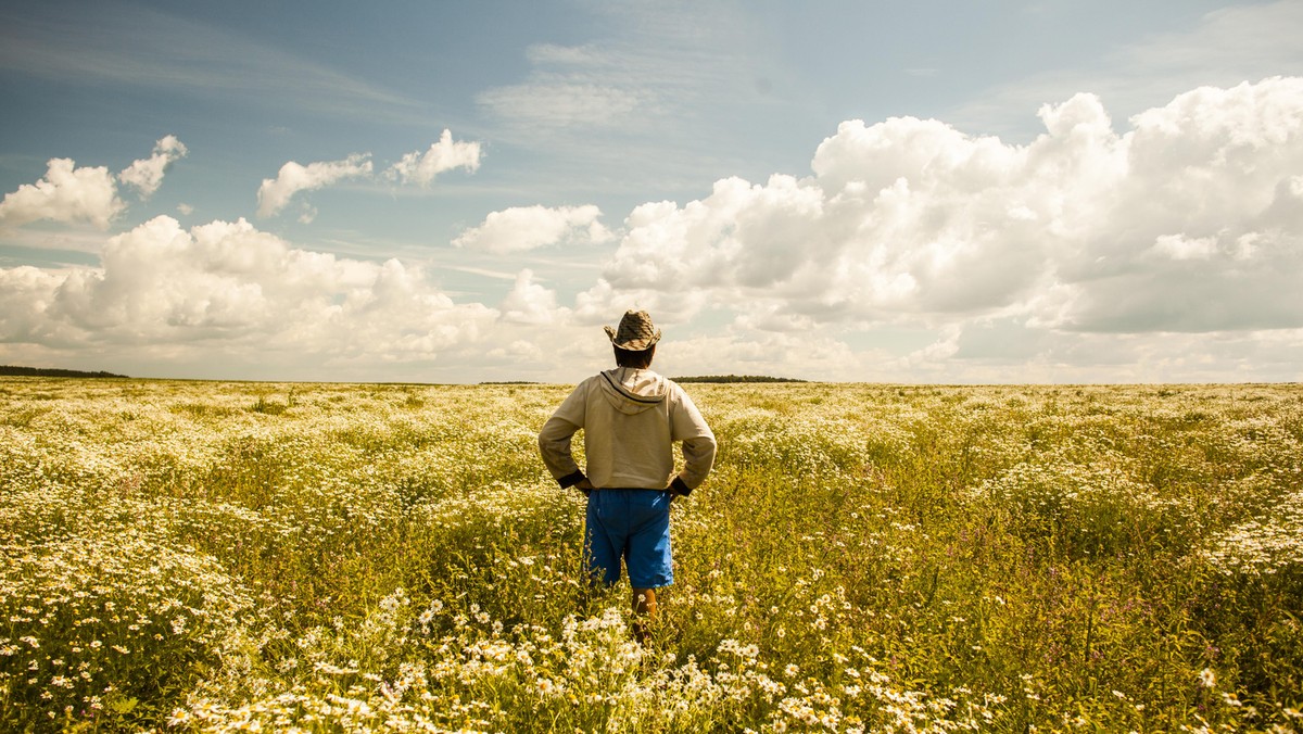 Man on field of wild flowers, Sarsy village, Sverdlovsk region, Russia