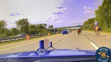 Prawdziwy kowboj pędził po amerykańskiej autostradzie. Powód był poważny [WIDEO]