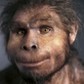 Homo erectus znany jako Java Man, rekonstrukcja wykonana przez rzeźbiarkę Élisabeth Daynès na podstawie skamieniałości odnalezionej na stanowisku paleoantropologicznym Sangiran na Jawie w 1969 r.