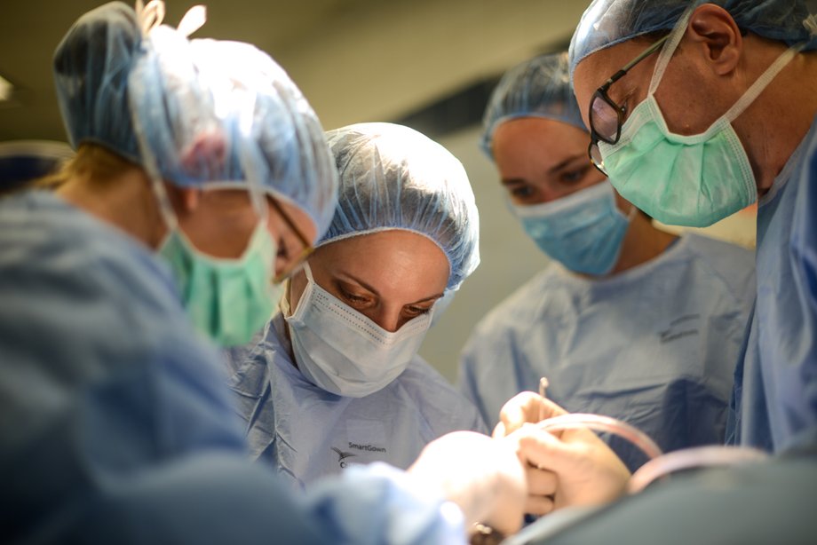 A team of vets perform surgery to repair a small dog's knee.