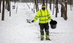 Nie uwierzycie, czym posypują tam zaśnieżone chodniki. Specjaliści od dróg reagują śmiechem