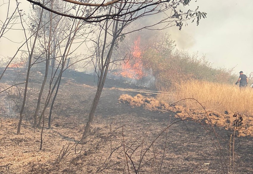 Požar kod Aranđelovca