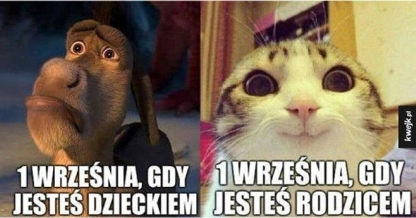 Nieubłagany koniec wakacji - memy