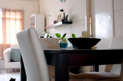 Ukryta kamera w mieszkaniu. 'Spektakularna porażka Airbnb'