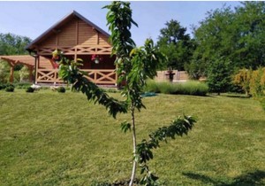 Suzana Mančić pokazala imanje