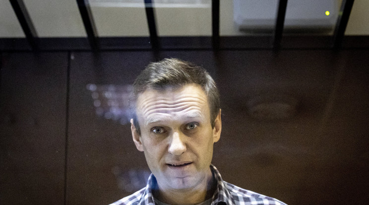 A hírhedt pokrovi börtöntelepre került Navalnij /Fotó: MTI/AP/Alekszandr Zemljanyicsenko