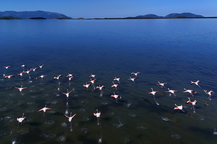 Lokacija odmarališta Džareda Kušnera u području lagune Narta, Albanija