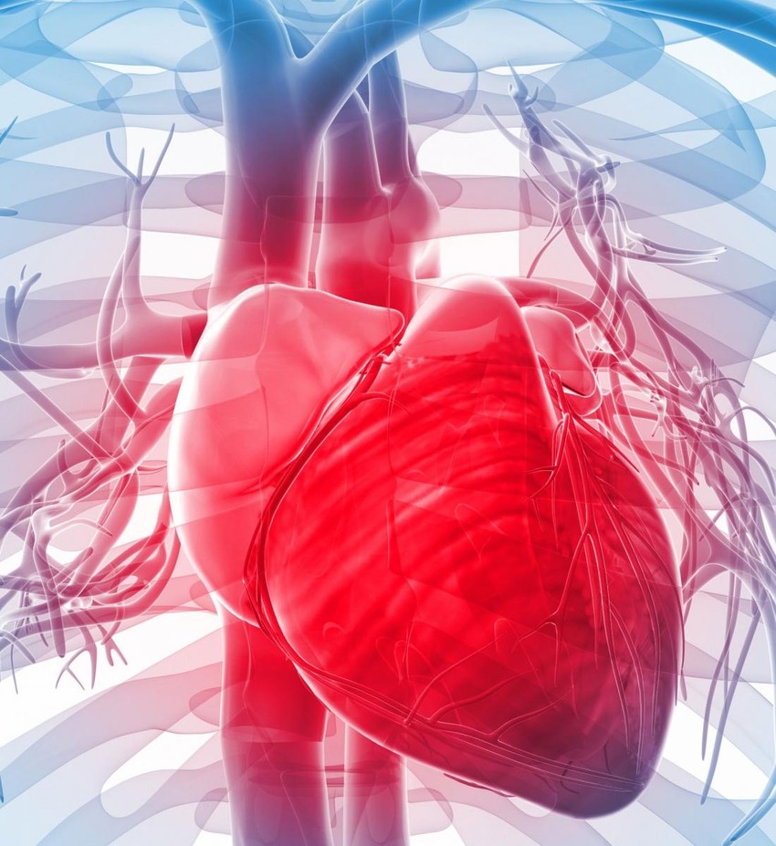 heart_masolata_1