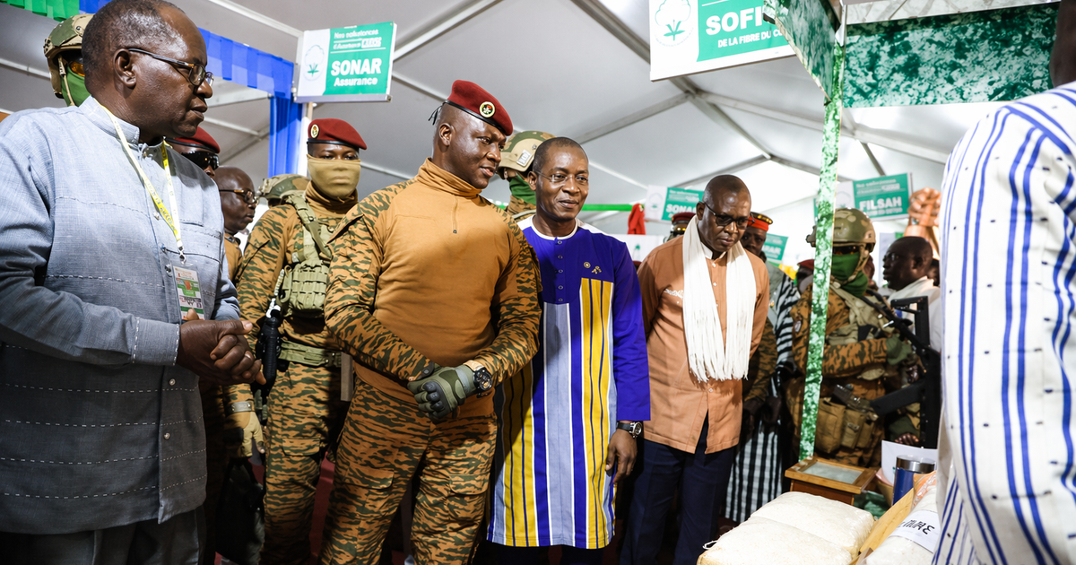 Burkina Faso set to take over $607m state cotton firm after gold industry shake-up