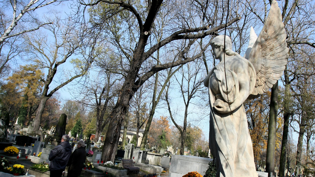 Rekordową kwotę ponad 92,6 tys. zł zebrali wolontariusze podczas jubileuszowej 30. kwesty prowadzonej w sobotę, niedzielę i poniedziałek na krakowskich cmentarzach. Najwięcej, ponad 76 tys. zł, zebrano na Cmentarzu Rakowickim.