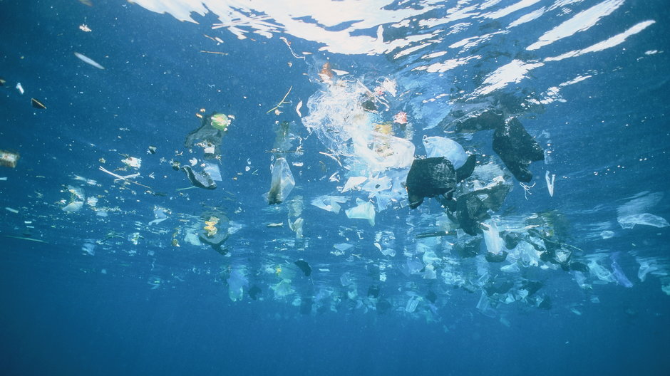 Szacuje się, że do oceanu co minutę trafia jedna ciężarówka plastiku