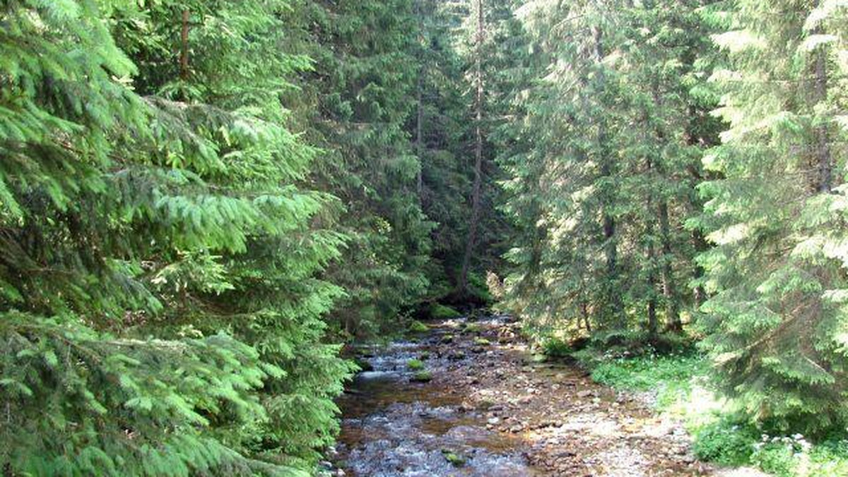 Galeria Polska - Tatry - wycieczka na Grzesia i Rakoń, obrazek 1