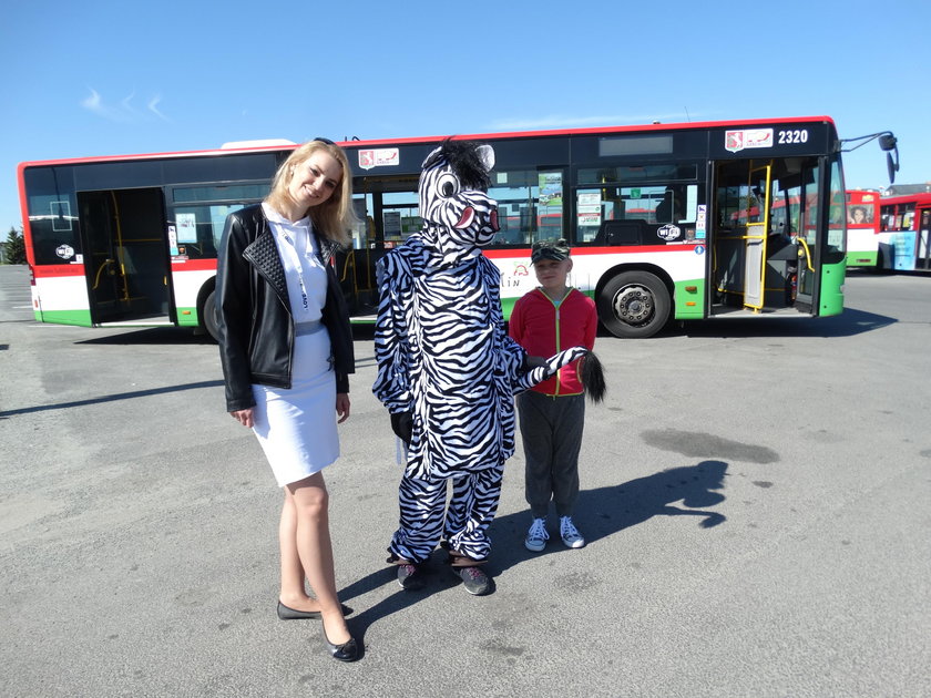 Zebra uczy zasad zachowania się w autobusie.