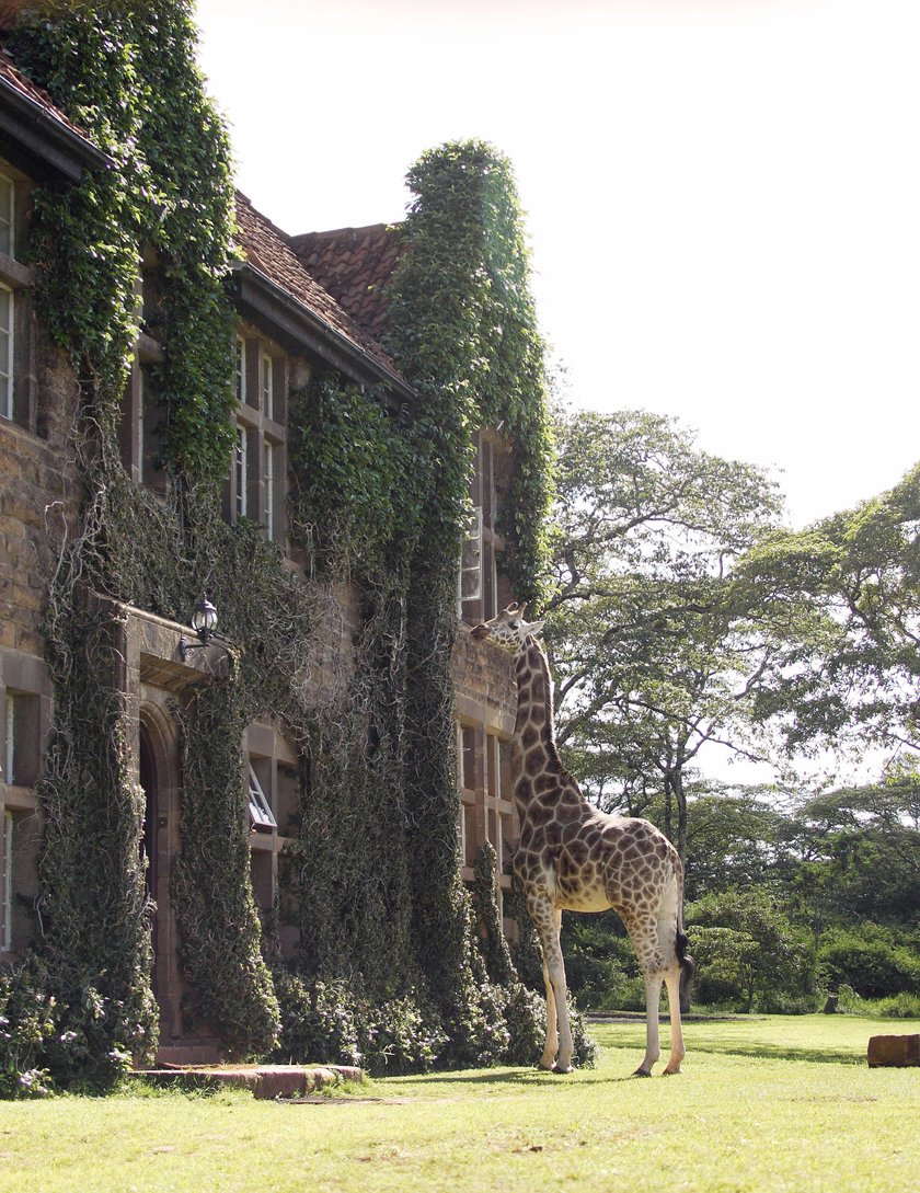 Najdziwniejsze hotele na świecie - Giraffe Manor