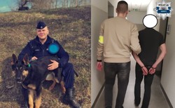 Kierowca był pijany, pasażer udawał martwego. Szach i mat