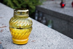 Nie żyje sołtys wsi Kamionka. Zmarł po użądleniu przez osy